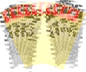 Disposable Vacuum Bags, Allergen Sb, 10/pack